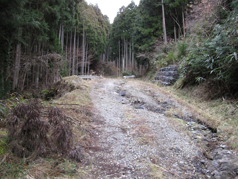 20140105hike (153)